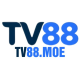 Foto del perfil de TV88