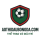 aothidaubongdacom