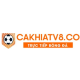 Profile picture of Cakhia TV ✔️ Xem bóng đá trực tuyến Cakhiatv