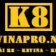 Profile picture of k8vinapro2