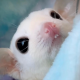 Profile picture of HotSauce