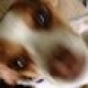 user2628156 Avatar