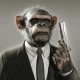 Belzecue Avatar