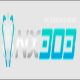 nx303fine
