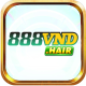 888vndhair