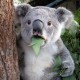 user1427275 Avatar