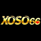 Profile picture of 48807486