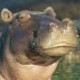 Guillaume Manen Avatar