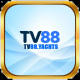Foto del perfil de tv88yachts