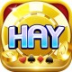 hayvinblog's Avatar