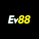 Profile picture of 48534923