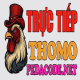Foto del perfil de ĐÁ GÀ TRỰC TIẾP THOMO HÔM NAY TẠI CAMPUCHIA