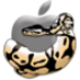 inzan Avatar