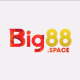 Foto del perfil de big88space