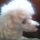 Gary Lee Avatar