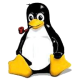 Rorist Avatar