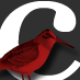 bridgepickup Avatar