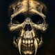 user1122206 Avatar