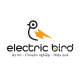 electricbirdvn